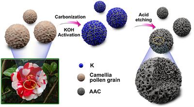 Activated Amorphous Carbon With High-Porosity Derived From Camellia Pollen Grains as Anode Materials for Lithium/Sodium Ion Batteries